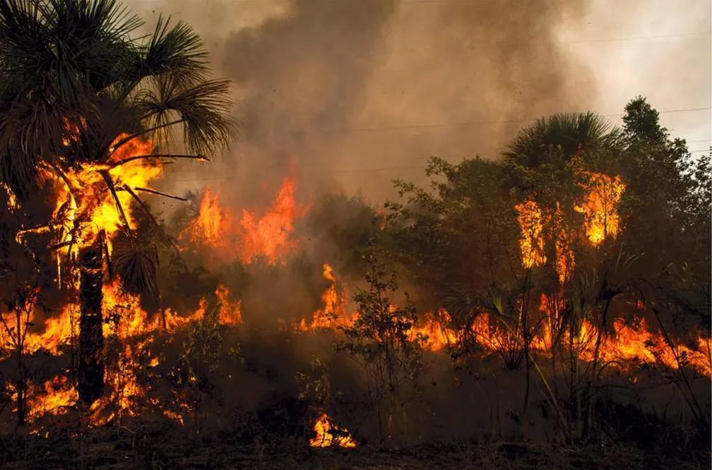 Meio ambiente e saúde