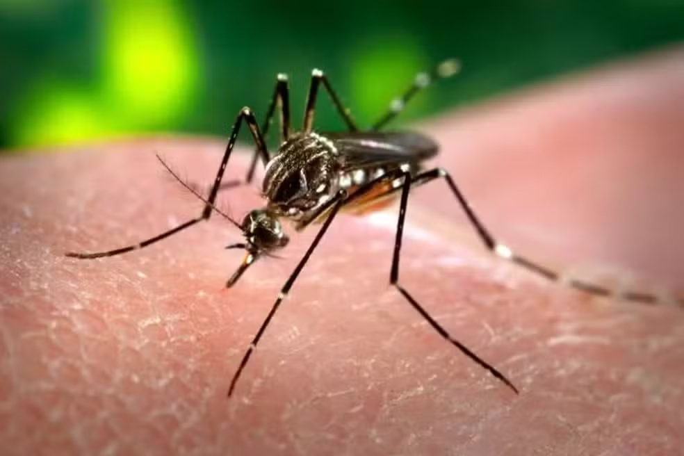 Zoonoses